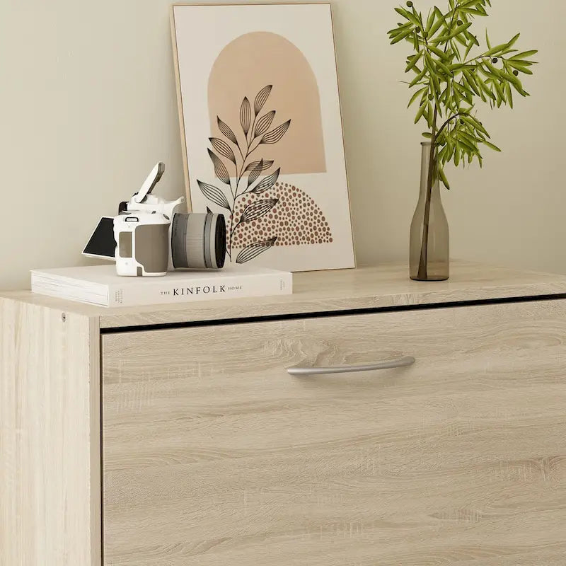 Meuble de rangement à chaussures moderne pour l'entrée, meuble à chaussures de plain-pied à 2 ou 3 tiroirs